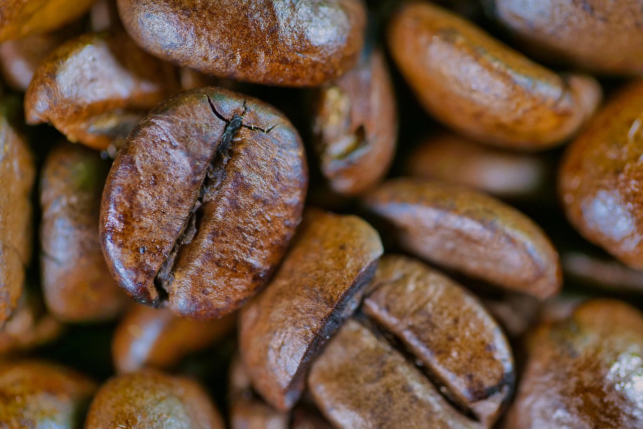 Finding the Best Coffee in Every Small Town