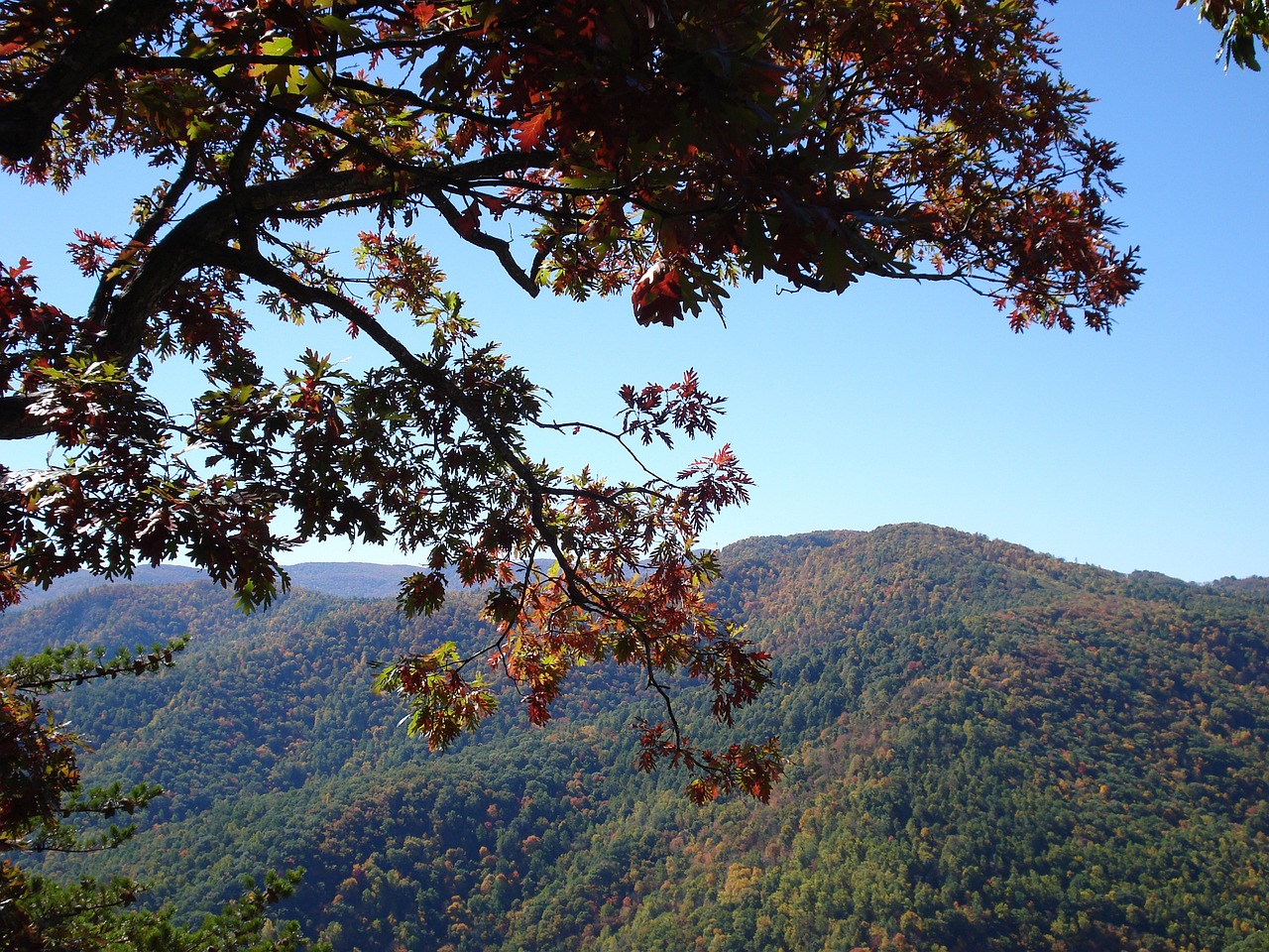 The Blue Ridge Parkway: A Slow Dance Through the Clouds