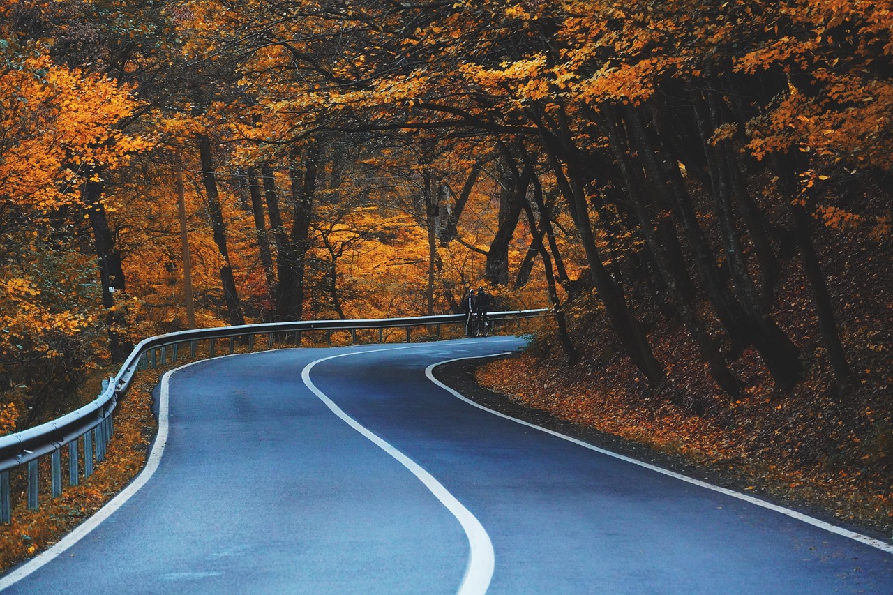 What I Learned About Grief on a Drive Through the Ozarks