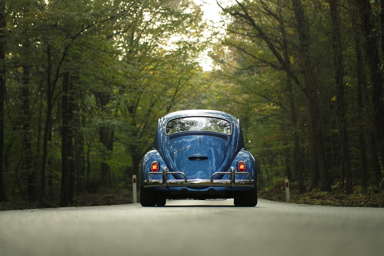 Why I Always Take the Back Road (Even When It Adds an Hour)